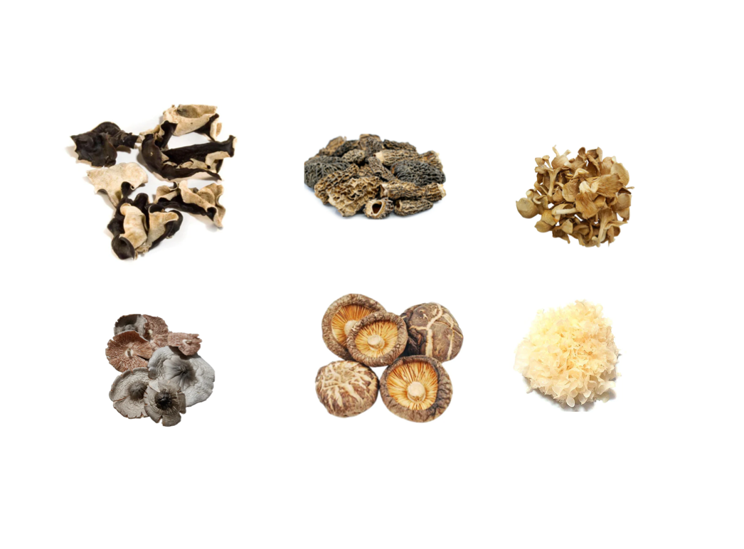 Dried Mushroom Combo